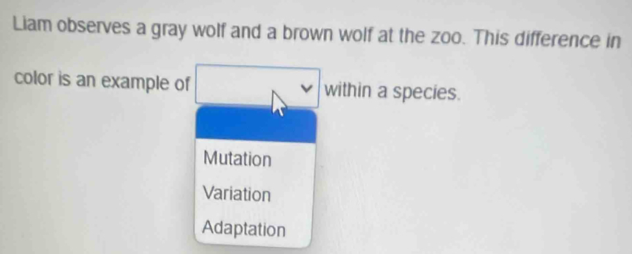 Solved: Liam observes a gray wolf and a brown wolf at the zoo. This ...