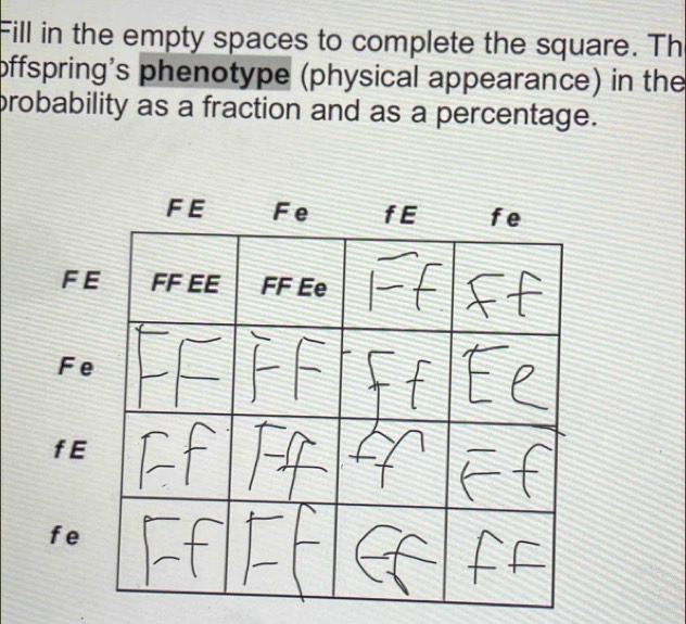 Fill in the empty spaces to complete the square. Th 
offspring's phenotype (physical appearance) in the 
probability as a fraction and as a percentage.