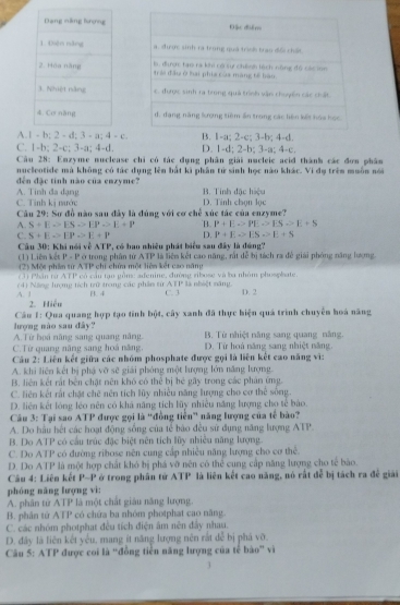 A. 1-a;2-c;3-b;4-d.
C. 1 b:2-c:3-a:4-d D. 1-d;2-b;3-a;4-c
Câu 28: Enzyme nuclease chi có tác dụng phân giải nucleic acid thành các đơn phân
nucleotide mà không có tác dụng lên bắt ki phân tử sinh học nào khác. Vi đụ trên muôn nói
đến đặc tính nào của enzyme?
C. Tính kị nước A. Tinh đa dạng B. Tính đặc hiệu D. Tính chọn lọc
Câu 29: Sơ đồ nào sau đây là đúng với cơ chế xúc tác của enzyme?
A. S+Eto ESto EPto E+P B. P+Eto PEto ESto E+S
C. S+Eto EPto E+P D. P+Eto ESto E+S
Câu 30: Khi nói về ATP, có bao nhiều phát biểu sau đây là đúng? (1) Liên kết P-1^2 ở trong phần từ ATP là liên kết cao năng, rắt đễ bị tách ra đề giải phòng năng lượng.
(2) Một phầm sử ATP chi chứa một liên kết cao năng
(3) Phần từ ATP có cầu tạo gồm: adenine, đường ribose và ba nhóm phosphate
A. 1 (4) Năng hượng tích trữ trong các phần tử ATP là nhiệt năng. C. 3 D. 2
2. Hiểu B. 4
Câu 1: Qua quang hợp tạo tỉnh bột, cây xanh đã thực hiện quá trình chuyển hoà năng
hượng nào sau đây?
A. Từ hoá năng sang quang năng. B. Từ nhiệt năng sang quang năng.
C.Từ quang năng sang hoá năng, D. Từ hoà năng sang nhiệt năng.
Câu 2: Liên kết giữu các nhóm phosphate được gọi là liên kết cao năng vì:
A. khi liên kết bị phá vỡ sẽ giải phóng một lượng lớn năng lượng.
B. liên kết rất bên chặt nên khó có thể bị hé gãy trong các phản ứng.
C. liên kết rất chặt chế nên tích lũy nhiều năng lượng cho cơ thể sống.
D. liên kết lóng léo nên có khá năng tích lũy nhiều năng lượng cho tế bào.
Câu 3: Tại sao ATP được gọi là “đồng tiền” năng lượng của tế bào?
A. Do hầu hết các hoạt động sống của tế bào đều sử dụng năng lượng ATP.
B. Do ATP có cầu trúc đặc biệt nên tích lũy nhiều năng lượng.
C. Do ATP có đường ribose nên cung cấp nhiều năng lượng cho cơ thể.
D. Do ATP là một hợp chất khó bị phá vỡ nên có thể cung cấp năng lượng cho tế bão.
Câu 4: Liên kết P~P ở trong phân tử ATP là liên kết cao năng, nó rất đễ bị tách ra đễ giải
phóng năng lượng vì:
A. phân tử ATP là một chất giáu năng lượng.
B. phân tử ATP có chứa ba nhóm photphat cao năng.
C. các nhóm photphat đều tích điện âm nên đây nhau.
D. đây là liên kết yêu, mang ít năng lượng nên rắt dễ bị phá vỡ.
Câu 5: ATP được coi là “đồng tiễn năng lượng của tế bào' và