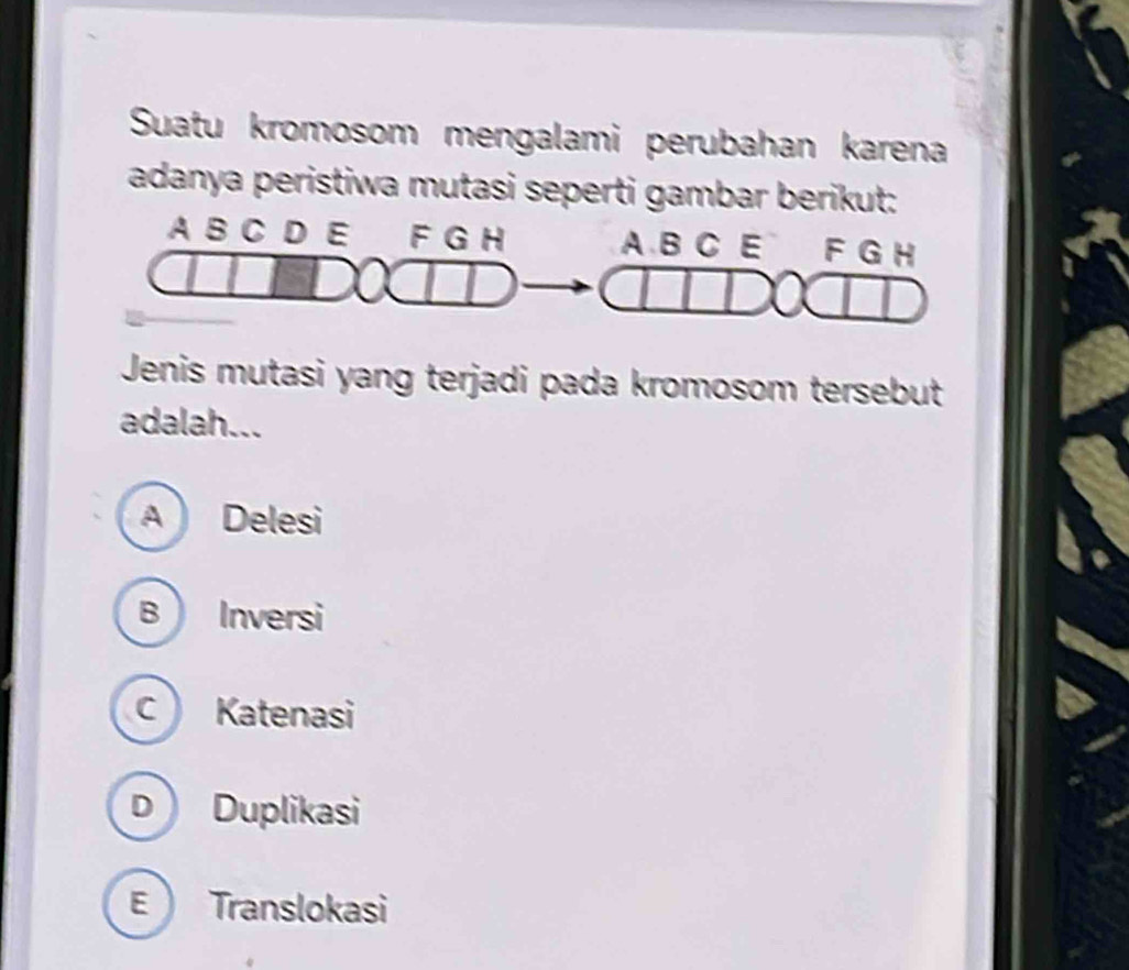 Suatu kromosom mengalami perubahan karena
adanya peristiwa mutasi seperti gambar berikut:
Jenis mutasi yang terjadi pada kromosom tersebut
adalah...
A  Delesi
B Inversi
Katenasi
D Duplikasi
E Translokasi