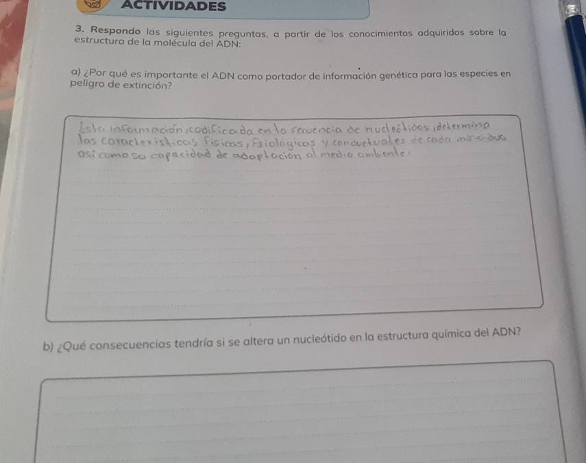 ACTIVIDADES 
3. Respondo las siguientes preguntas, a partir de los conocimientos adquiridos sobre la 
estructura de la molécula del ADN: 
a) ¿Por qué es importante el ADN como portador de información genética para las especies en 
peligro de extinción? 
b ¿Qué consecuencias tendría si se altera un nucleótido en la estructura química del ADN?