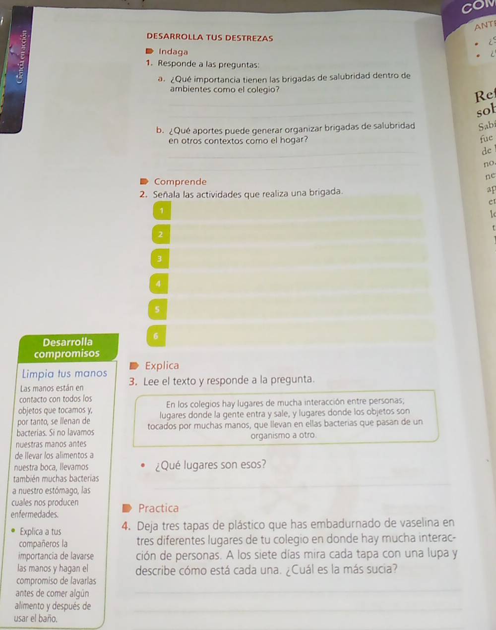 COM
ANT
DESARROLLA TUS DESTREZAS
a Indaga
1. Responde a las preguntas:
a. ¿Qué importancia tienen las brigadas de salubridad dentro de
ambientes como el colegio?
_
_
Re
_
sob
b. ¿Qué aportes puede generar organizar brigadas de salubridad
Sabi
en otros contextos como el hogar?
fue
_
de 
_
no.
ne
Comprende
2. Señala las actividades que realiza una brigada.
ap
eI
1
f
2
3
4
5
6
Desarrolla
compromisos
Limpia tus manos Explica
Las manos están en 3. Lee el texto y responde a la pregunta.
contacto con todos los
objetos que tocamos y, En los colegios hay lugares de mucha interacción entre personas;
por tanto, se llenan de lugares donde la gente entra y sale, y lugares donde los objetos son
bacterias. Si no lavamos tocados por muchas manos, que llevan en ellas bacterias que pasan de un
organismo a otro.
nuestras manos antes
de llevar los alimentos a
nuestra boca, llevamos ¿Qué lugares son esos?
_
también muchas bacterias
a nuestro estómago, las
cuales nos producen
Practica
enfermedades.
Explica a tus 4. Deja tres tapas de plástico que has embadurnado de vaselina en
compañeros la tres diferentes lugares de tu colegio en donde hay mucha interac-
importancia de lavarse ción de personas. A los siete días mira cada tapa con una lupa y
las manos y hagan el describe cómo está cada una. ¿Cuál es la más sucia?
compromiso de lavarlas
antes de comer algún
_
alimento y después de_
usar el baño.