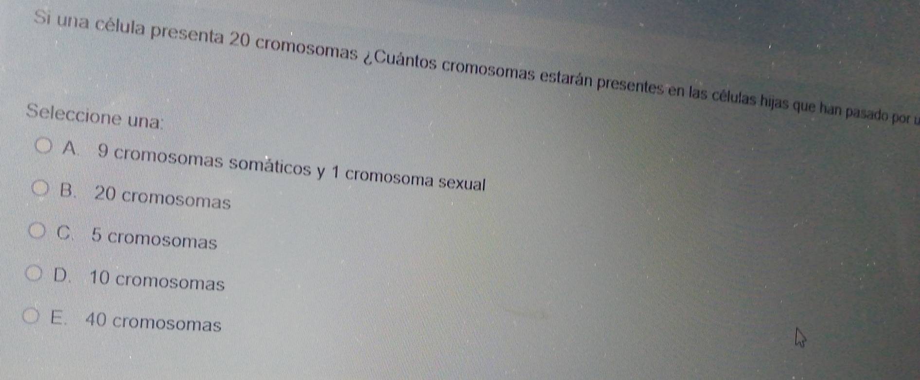 Si una célula presenta 20 cromosomas ¿Cuántos cromosomas estarán presentes en las células hijas que han pasado por e
Seleccione una:
A. 9 cromosomas somáticos y 1 cromosoma sexual
B. 20 cromosomas
C. 5 cromosomas
D. 10 cromosomas
E. 40 cromosomas