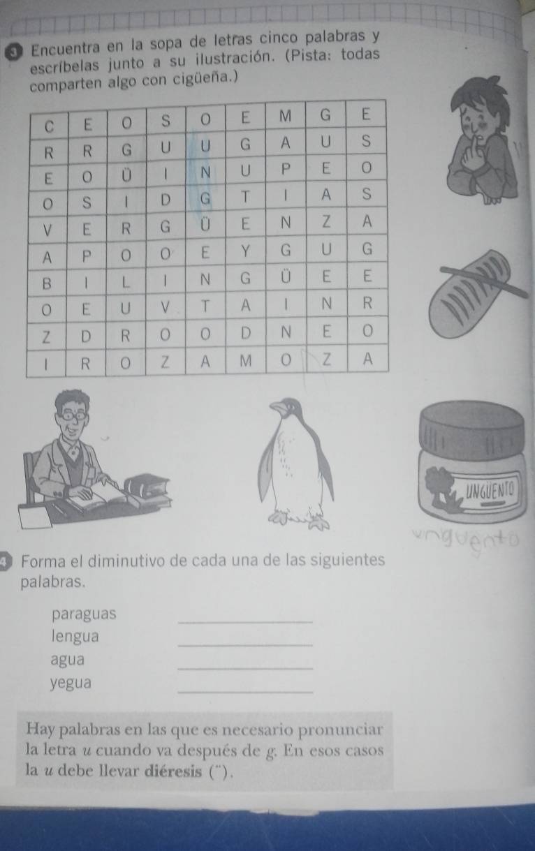 Encuentra en la sopa de letras cinco palabras y 
escríbelas junto a su ilustración. (Pista: todas 
comparten algo con cigüeña.) 
un güe nto 
Forma el diminutivo de cada una de las siguientes 
palabras. 
paraguas 
_ 
lengua 
_ 
agua 
_ 
yegua 
_ 
Hay palabras en las que es necesario pronunciar 
la letra u cuando va después de g. En esos casos 
la u debe llevar diéresis (").