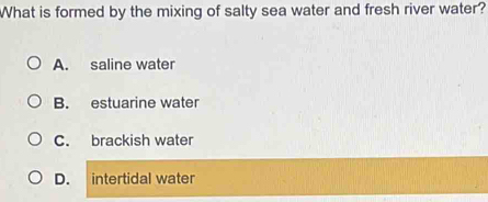 What is formed by the mixing of salty sea water and fresh river water?
A. saline water
B. estuarine water
C. brackish water
D. intertidal water