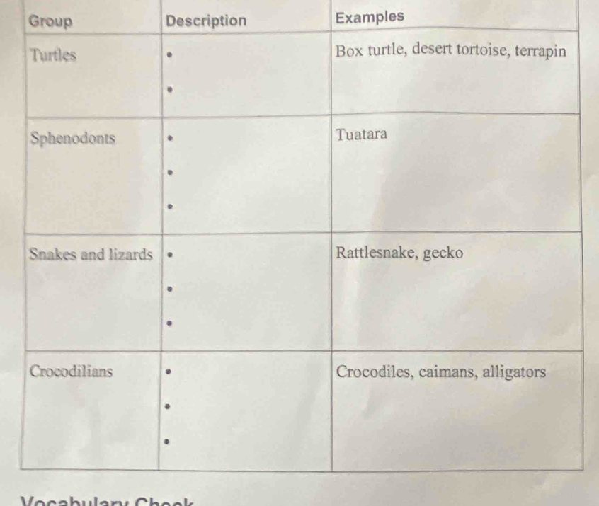 Group Description Examples 
Vocabulan Ch ec k