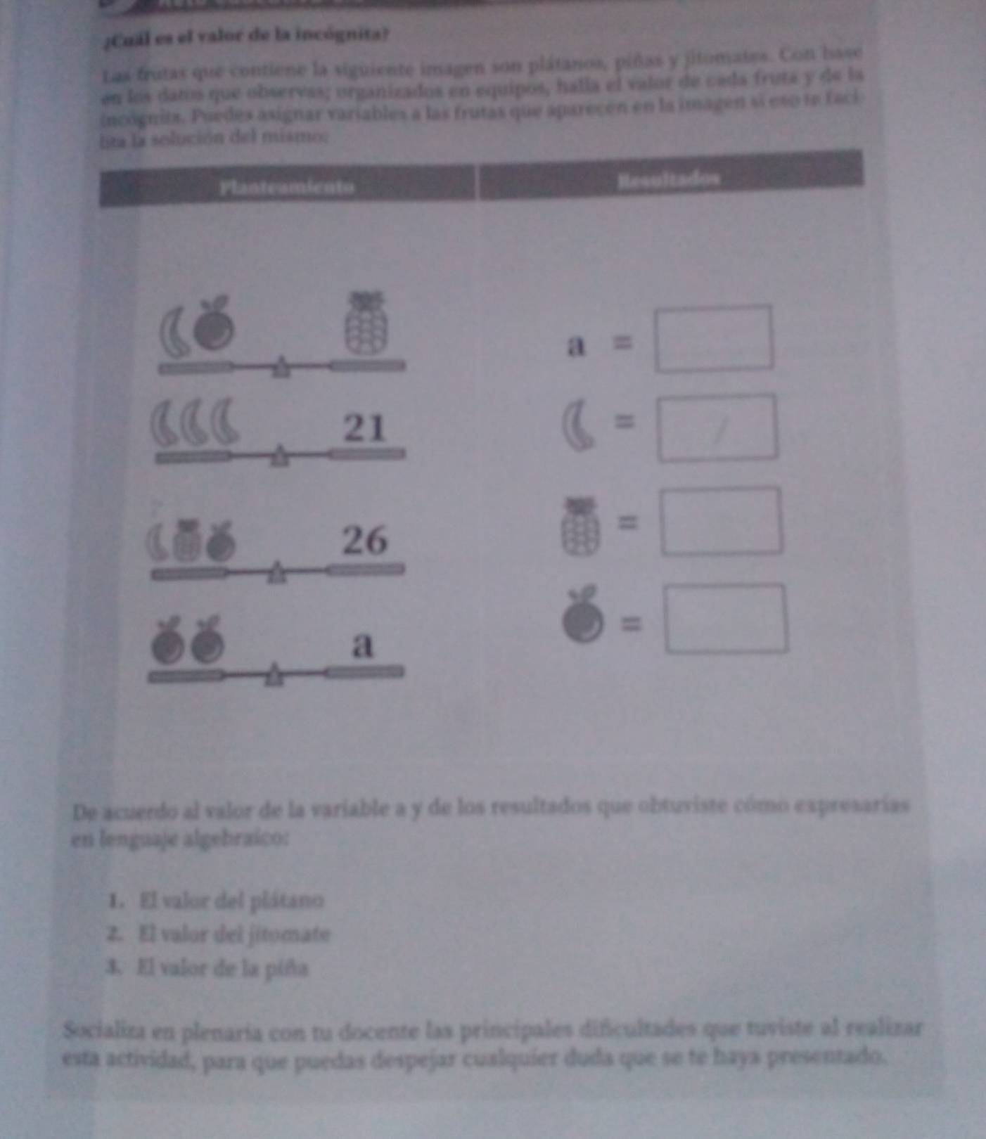 ¿Cuál es el valor de la incógnita? 
Las frutas que contiene la siguiente imagen son plátanos, piñas y jitomates. Con base 
en los datos que observas; organizados en equipos, halla el valor de cada fruta y de la 
incognits. Puedes asignar variables a las frutas que aparecen en la imagen sí eso te faci 
lita la solución del mismo: 
Planteamiento
a=□
21
(=□
X
26
□ =□
a
□ =□
De acuerdo al valor de la variable a y de los resultados que obtuviste cómo expresarías 
en lenguaje algebraico: 
1. El valor del plátano 
2. El valor del jitomate 
3. El valor de la piña 
Socializa en plenaría con tu docente las principales dificultades que tuviste al realizar 
esta actividad, para que puedas despejar cualquier duda que se te haya presentado.