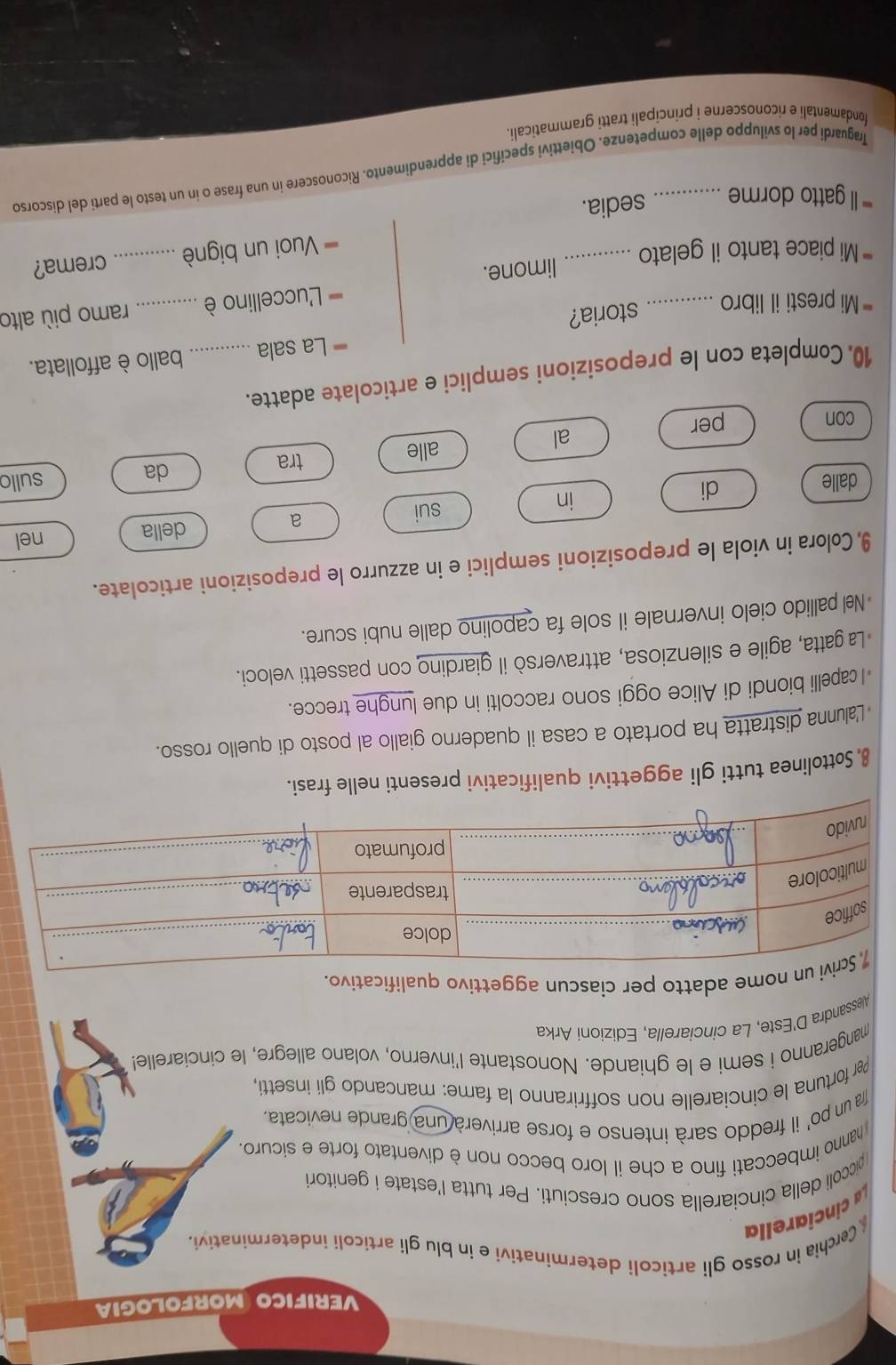 VERIFICO MORFOLOGIA
* Cerchia in rosso gli articoli determinativi e in blu gli articoli indeterminativi.
La  cinciarella
piccoli della cinciarella sono cresciuti. Per tutta l'estate i genitori
hanno imbeccati fino a che il loro becco non è diventato forte e sicuro.
fra un po' il freddo sarà intenso e forse arriverà una grande nevicata.
Per fortuna le cinciarelle non soffriranno la fame: mancando gli insetti,
mangeranno i semi e le ghiande. Nonostante l'inverno, volano allegre, le cinciarelle!
Alessandra D'Este, La cínciarella, Edizioni Arka
i un nome adatto per ciascun aggettivo qualificativo.
8 Sottolinea tutti gli aggettivi qualificativi presenti nelle frasi.
Lalunna distratta ha portato a casa il quaderno giallo al posto di quello rosso.
I capelli biondi di Alice oggi sono raccolti in due lunghe trecce.
La gatta, agile e silenziosa, attraversò il giardino con passetti veloci.
Nel pallido cielo invernale il sole fa capolino dalle nubi scure.
9, Colora in viola le preposizioni semplici e in azzurro le preposizioni articolate.
della nel
di
in
sui
a
dalle sullo
al
alle tra da
con per
10, Completa con le preposizioni semplici e articolate adatte._
La sala ballo è affollata.
* Mi presti il libro _storia?
L'uccellino è _ramo più alto
Mi piace tanto il gelato _limone.
Vuoi un bignè _crema?
Il gatto dorme sedia.
Traguardi per lo sviluppo delle competenze. Obiettivi specifici di apprendimento. Riconoscere in una frase o in un testo le parti del discorso
fondamentali e riconoscerne i principali tratti grammaticali.