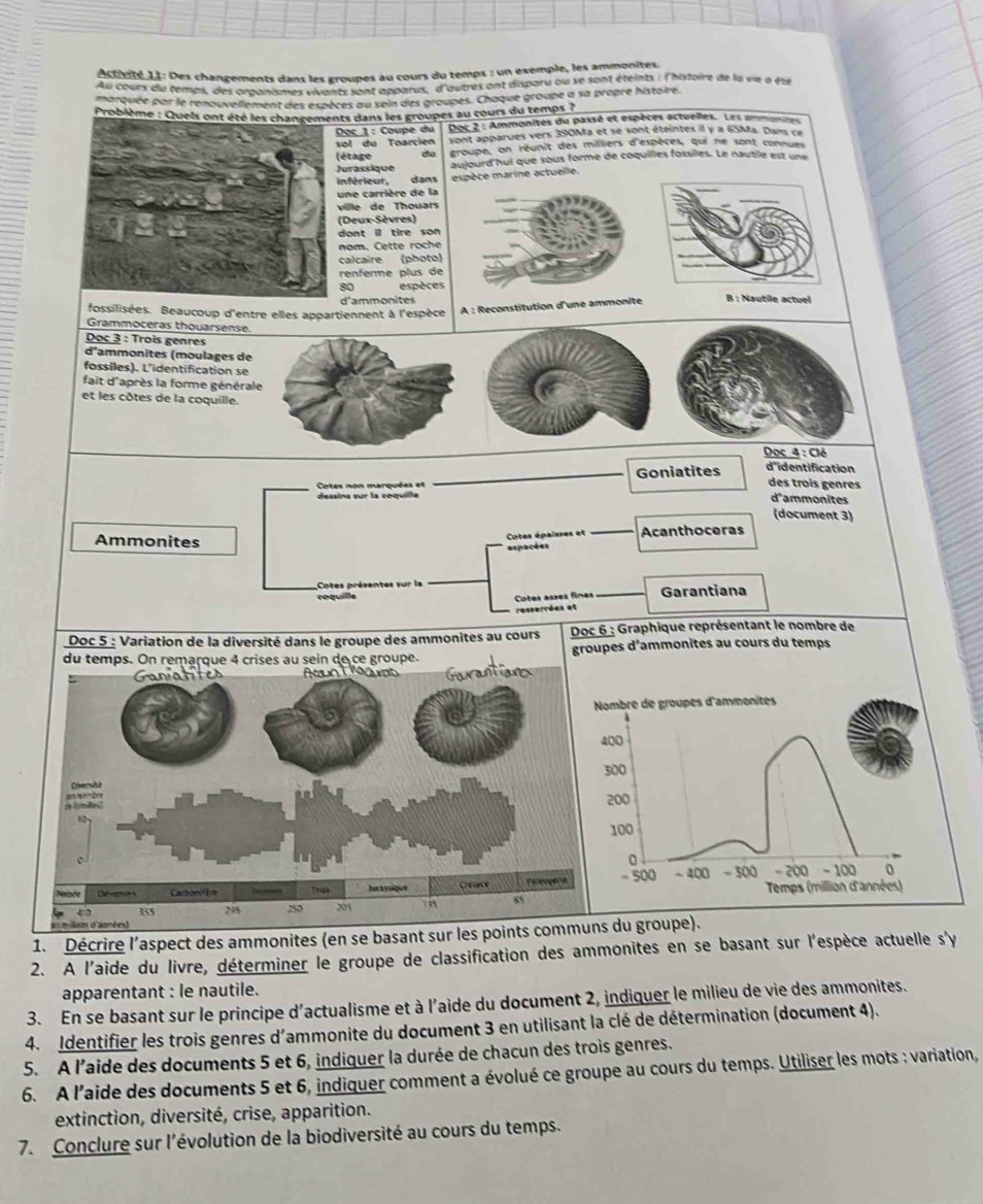 Activité 11: Des changements dans les groupes au cours du temps : un exemple, les ammonites
au Cburs du temps, des organismes vivants sont apparus, d'autres ont disparu ou se sont éteints : l'histoire de la vie à été
marquée par le renouvellement des espèces au sein des groupes. Chaque groupe à sa propre histoire.
Problème : Queis ont été les changements dans les groupes au cours du temps ?
Doc 2 : Ammonites du passé et espèces actuelles. Les ammosinen
Doc 1 : Coupe du sont apparues vers 390Ma et se sont éteintes il y a 65Ma. Dans ce
sol du Toarcien groupe, on réunit des milliers d'espèces, qui ne sont connues
(étage aujourd hui que sous forme de coquilles fossiles. Le nautile est une
Jurassique
Inférieur. dans espèce marine actuelle
une carrière de la
vile   de Thouar 
(Deux-Sèvres)
dont i tire so n 
nom. Cette roche
calcaire (photo)
renferme plus de
80 espèces
A : Reconstitution d'une ammonite B : Nautile actuel
fossilisées. Beaucoup d'entre elles appartiennent à l'espèce d'ammonites
Grammoceras thouarsense.
Doc 3 : Trois genres
d'ammonites (moulages de
fossiles). L'identification se
fait d'après la forme générale
et les côtes de la coquille.
Dọc 4 : Clé
Cotes non marquées et _Goniatites d'identification
des trois genres
dessina sur la coquille
d'ammonites
(document 3)
Ammonites _Acanthoceras
Cotes épaisses et
espacées
Cotes présentes sur la
_
coquille _Garantiana
Cotes assez fines
resserrées et
Doc 5 : Variation de la diversité dans le groupe des ammonites au cours  Doc 6 : Graphique représentant le nombre de
du temps. On remaçque 4 crises au sein de ce groupe.groupes d'ammonites au cours du temps
1. Décrire l'aspect des ammonites (en se basant sur les points com du groupe).
2. A l'aide du livre, déterminer le groupe de classification des ammonites en se basant sur l'espèce actuelle s'y
apparentant : le nautile.
3. En se basant sur le principe d'actualisme et à l'aide du document 2, indiquer le milieu de vie des ammonites.
4. Identifier les trois genres d'ammonite du document 3 en utilisant la clé de détermination (document 4).
5. A l’aide des documents 5 et 6, indiquer la durée de chacun des trois genres.
6. A l'aide des documents 5 et 6, indiquer comment a évolué ce groupe au cours du temps. Utiliser les mots : variation,
extinction, diversité, crise, apparition.
7. Conclure sur l'évolution de la biodiversité au cours du temps.