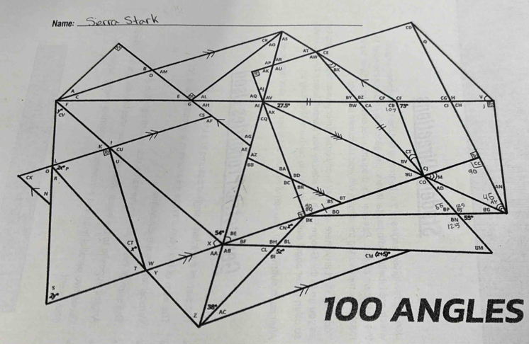 100 ANGLES