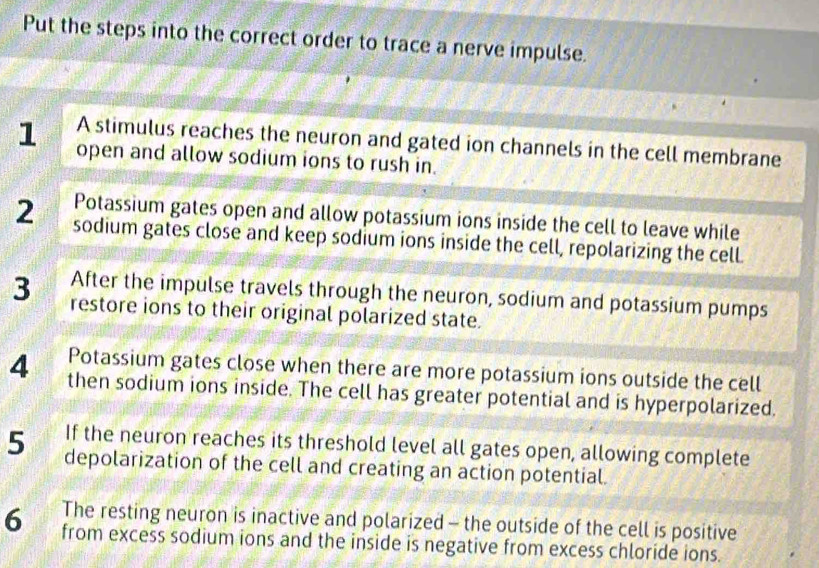 Solved: Put the steps into the correct order to trace a nerve impulse ...