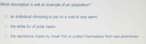 Which description is not an example of as adaptation?
an individual choosing to put on a coat to stay warm
the white fur of polar bears
the secretions made by clown fish to protect themselves from see anemones .