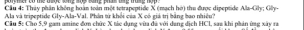 porymer co the được tổng nợp bang phan tng trung hợp . 
Câu 4: Thủy phân không hoàn toàn một tetrapeptide X (mạch hở) thu được dipeptide Ala-Gly; Gly- 
Ala và tripeptide Gly-Ala-Val. Phân tử khối của X có giá trị bằng bao nhiêu? 
Câu 5: Cho 5, 9 gam amine đơn chức X tác dụng vừa đủ với dung dịch HCl, sau khi phản ứng xảy ra