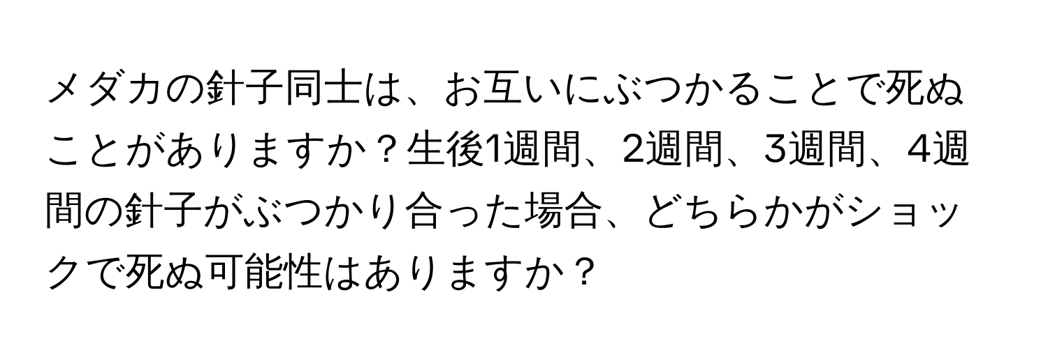 メダカの針子同士は、お互いにぶつかることで死ぬことがありますか？生後1週間、2週間、3週間、4週間の針子がぶつかり合った場合、どちらかがショックで死ぬ可能性はありますか？