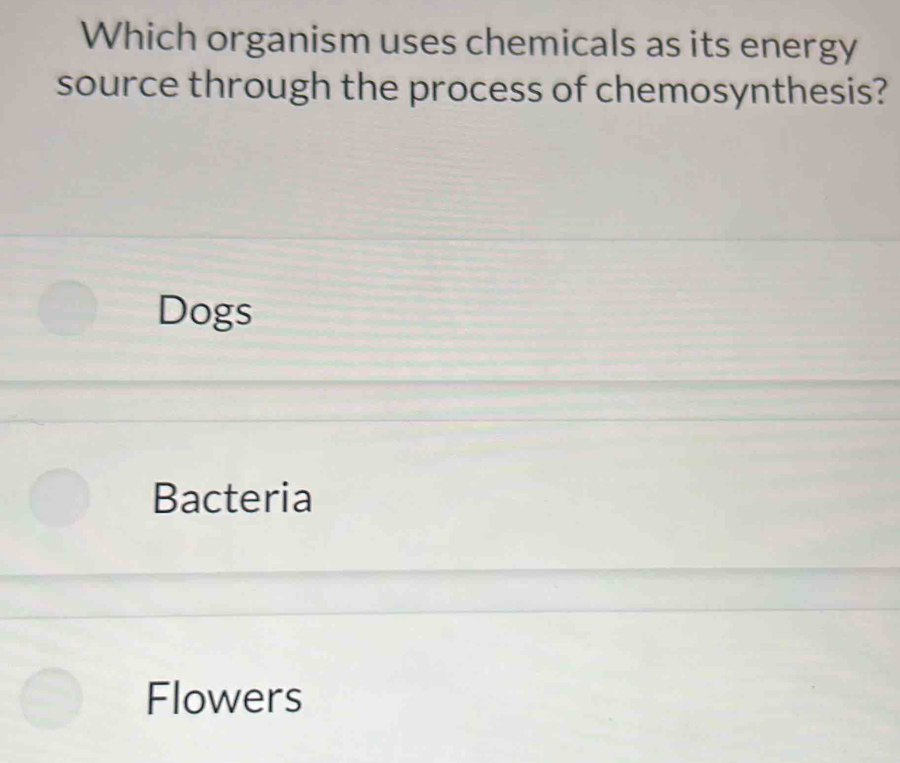 Which organism uses chemicals as its energy
source through the process of chemosynthesis?
Dogs
Bacteria
Flowers