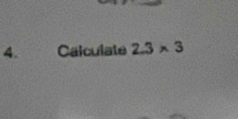 Calculate 2.3* 3