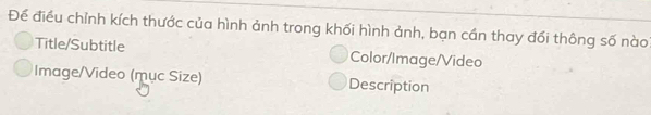 Để điều chỉnh kích thước của hình ảnh trong khối hình ảnh, bạn cần thay đối thông số nào 
Title/Subtitle Color/Image/Video 
Image/Video (mục Size) Description