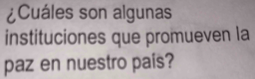 ¿Cuáles son algunas 
instituciones que promueven la 
paz en nuestro país?