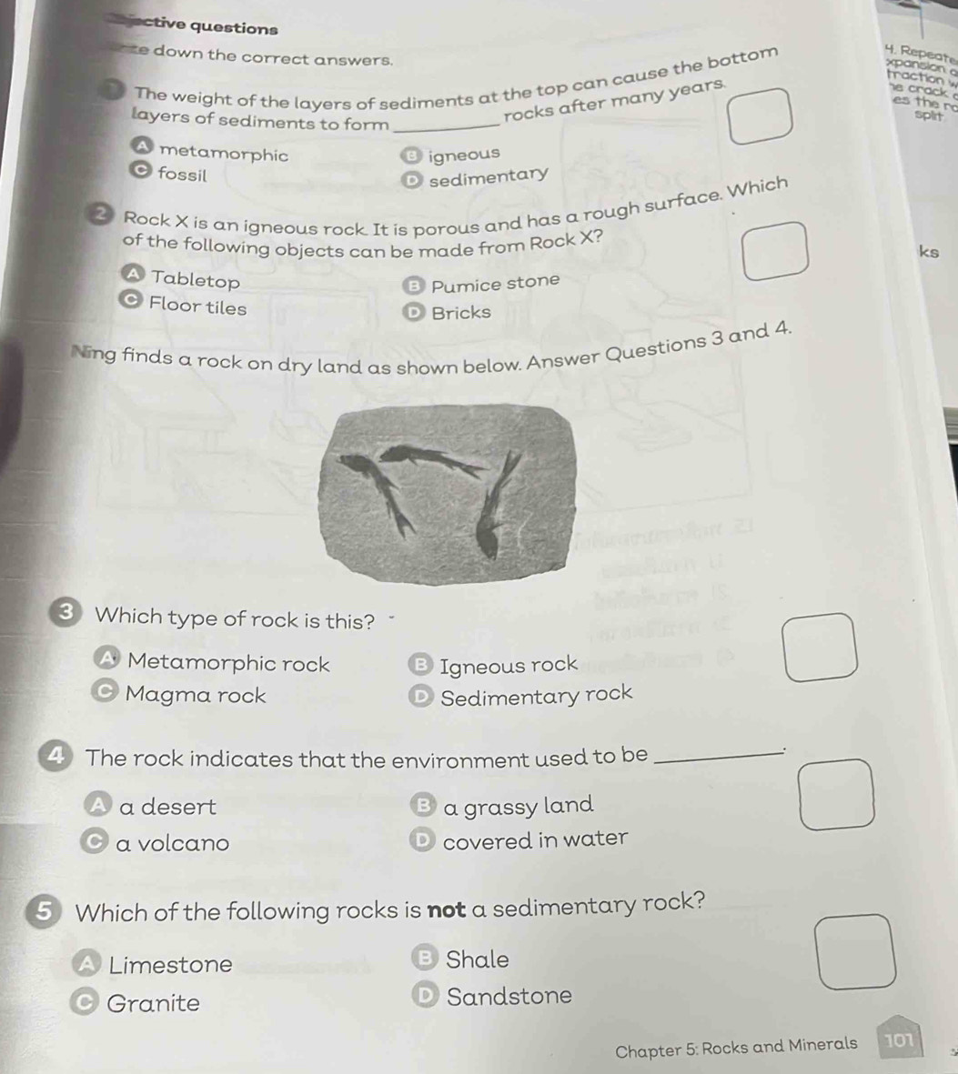 ectiv questions
4. Repeate
e down the correct answers.
The weight of the layers of sediments at the top can cause the bottom
xpansion a traction e crack 
es the r
layers of sediments to form_
rocks after many years.
spirt
A metamorphic igneous
fossil
sedimentary
2 Rock X is an igneous rock. It is porous and has a rough surface. Which
of the following objects can be made from Rock X?
ks
Tabletop Pumice stone
Floor tiles
Bricks
Ning finds a rock on dry land as shown below. Answer Questions 3 and 4.
3 Which type of rock is this?
Metamorphic rock Igneous rock
Magma rock Sedimentary rock
4 The rock indicates that the environment used to be_
.
A a desert a grassy land
a volcano covered in water
5 Which of the following rocks is not a sedimentary rock?
Limestone B Shale
D
Granite Sandstone
Chapter 5: Rocks and Minerals 101