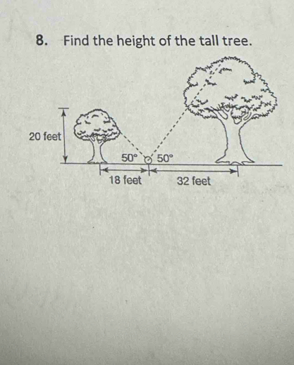 Find the height of the tall tree.