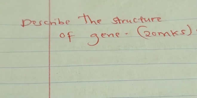 pescribe the structure 
of gene.(2omks)