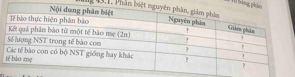 Ở Vở bảng 
Ding 43.1. Phân