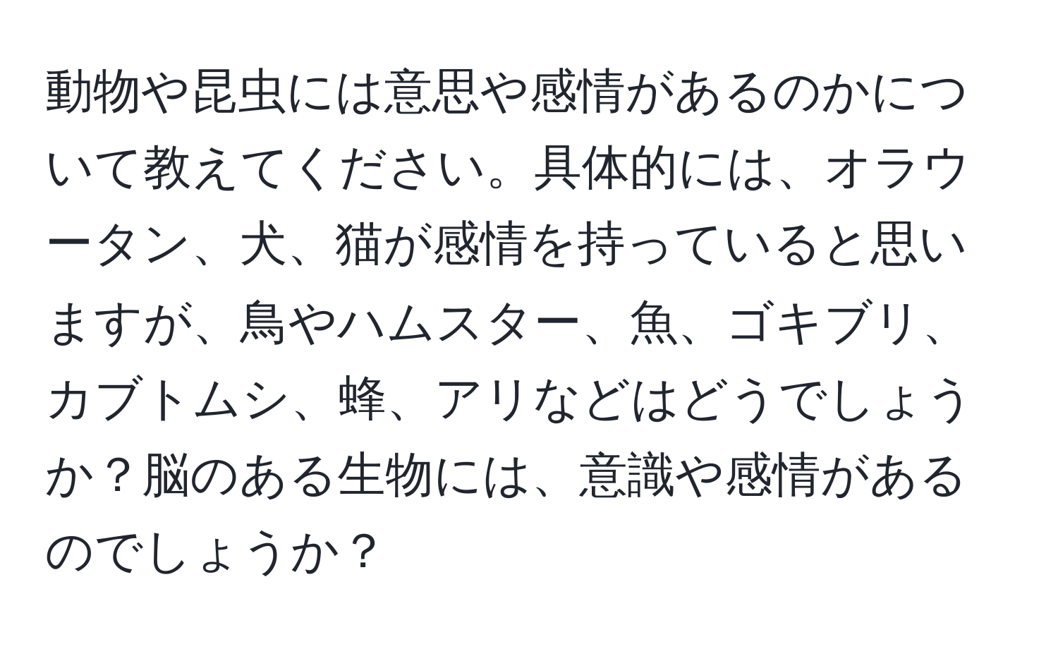 動物や昆虫には意思や感情があるのかについて教えてください。具体的には、オラウータン、犬、猫が感情を持っていると思いますが、鳥やハムスター、魚、ゴキブリ、カブトムシ、蜂、アリなどはどうでしょうか？脳のある生物には、意識や感情があるのでしょうか？