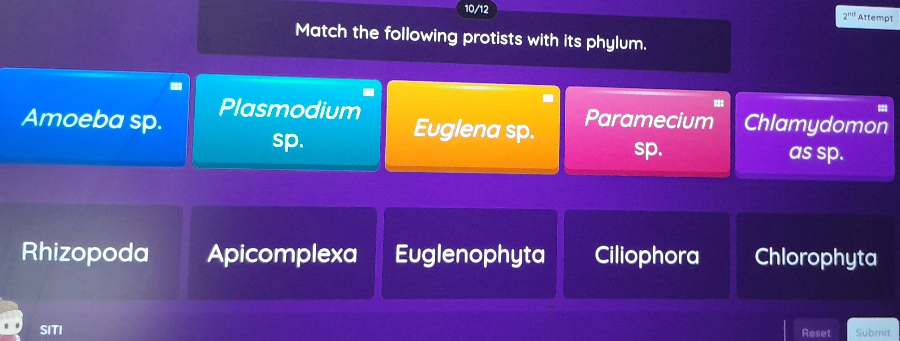 10/12
2^(nd) Attempt
Match the following protists with its phylum.
Plasmodium Paramecium Chlamydomon
Amoeba sp. Euglena sp.
sp.
sp. as sp.
Rhizopoda Apicomplexa Euglenophyta Ciliophora Chlorophyta
SITI Reset Submit