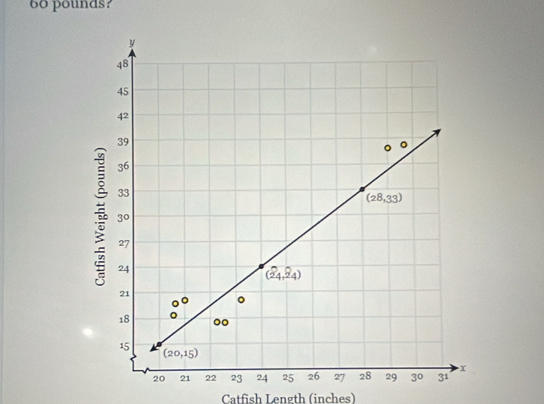 pounds?
Catfish Length (inches)