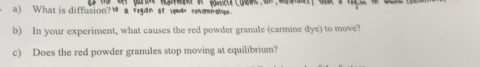 What is diffusion? 
ation . 
b) In your experiment, what causes the red powder granule (carmine dye) to move? 
c) Does the red powder granules stop moving at equilibrium?