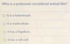 Why is a protozoan considered animal-like?
It is a heterotroph.
It is multicellular.
It has a flagellum.
It has a cell wall.