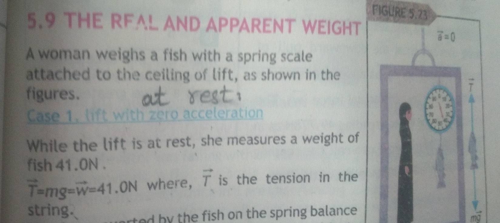 FIGURE 5.23 
5.9 THE RFAL AND APPARENT WEIGHT
overline a=0
A woman weighs a fish with a spring scale 
attached to the ceiling of lift, as shown in the 
figures. 
10
20 - 
Case 1, lift with zero acceleration 
6 
While the lift is at rest, she measures a weight of 
fish 41 .0N. 
C
vector T=mg=vector w=41.ON where, vector T is the tension in the 
string. 
rted by the fish on the spring balance