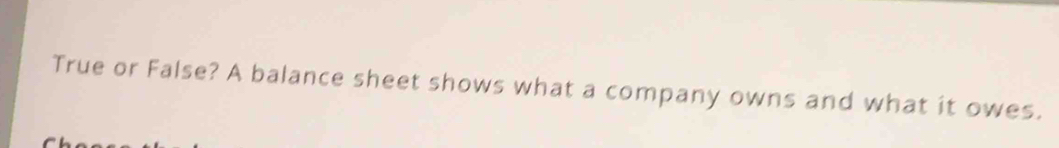True or False? A balance sheet shows what a company owns and what it owes.