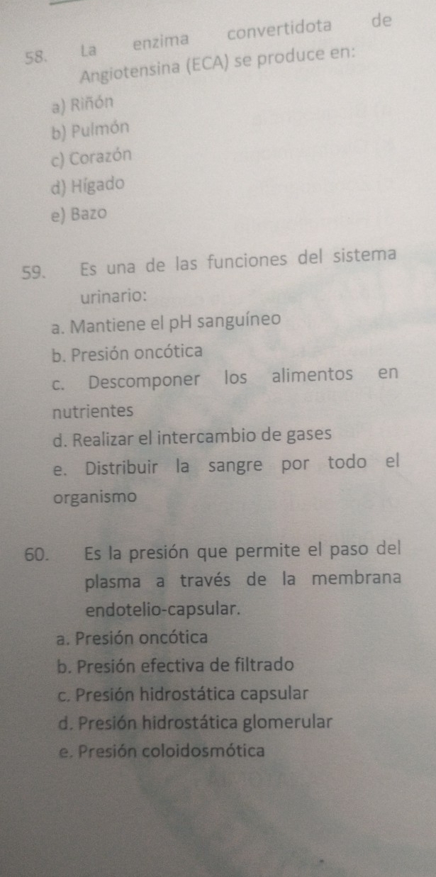 La enzima convertidota de
Angiotensina (ECA) se produce en:
a) Riñón
b) Pulmón
c) Corazón
d) Hígado
e) Bazo
59. Es una de las funciones del sistema
urinario:
a. Mantiene el pH sanguíneo
b. Presión oncótica
c. Descomponer los alimentos en
nutrientes
d. Realizar el intercambio de gases
e. Distribuir la sangre por todo el
organismo
60. Es la presión que permite el paso del
plasma a través de la membrana
endotelio-capsular.
a. Presión oncótica
b. Presión efectiva de filtrado
c. Presión hidrostática capsular
d. Presión hidrostática glomerular
e. Presión coloidosmótica