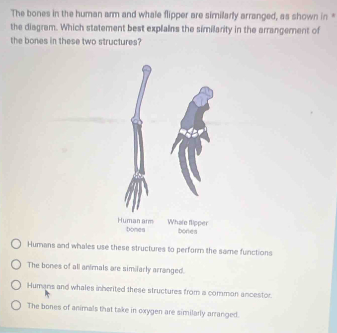 Solved: The bones in the human arm and whale flipper are similarly ...