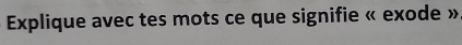 Explique avec tes mots ce que signifie « exode »