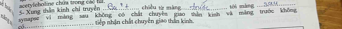 acetyleholine chứa trong các tui. 
tới màng 
ê hoặc 5 - Xung thần kinh chỉ truyền ._ ... chiều từ màng.._ ._ 
năng synapse vì màng sau không có chất chuyền giao thàn kinh và màng trước không 
có._ tiếp nhận chất chuyển giao thần kinh.