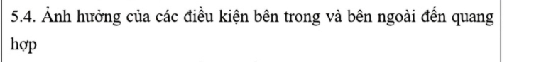 Ảnh hưởng của các điều kiện bên trong và bên ngoài đến quang 
hợp