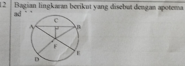 Bagian lingkaran berikut yang disebut dengan apotema 
ad