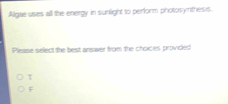 Allgae uses all the energy in sunfight to perform photosyrthesis.
Please select the best answer from the choices provided
T
F