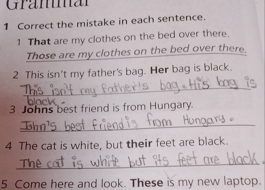 Gränman 
1 Correct the mistake in each sentence. 
1 That are my clothes on the bed over there. 
Those are my clothes on the bed over there. 
2 This isn't my father's bag. Her bag is black. 
_ 
3 Johns best friend is from Hungary. 
_ 
4 The cat is white, but their feet are black. 
_. 
5 Come here and look. These is my new laptop.