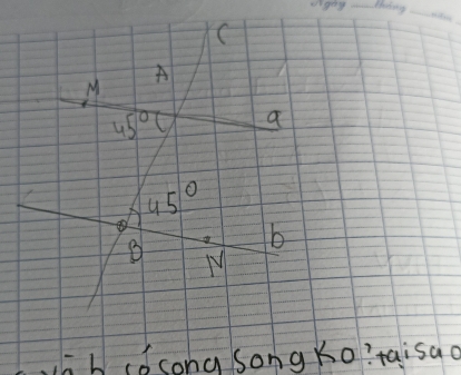 C
_
A
M
45° a
45°
b
M 
o b cdsong songko?taisao