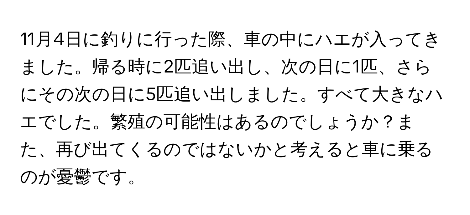 11月4日に釣りに行った際、車の中にハエが入ってきました。帰る時に2匹追い出し、次の日に1匹、さらにその次の日に5匹追い出しました。すべて大きなハエでした。繁殖の可能性はあるのでしょうか？また、再び出てくるのではないかと考えると車に乗るのが憂鬱です。