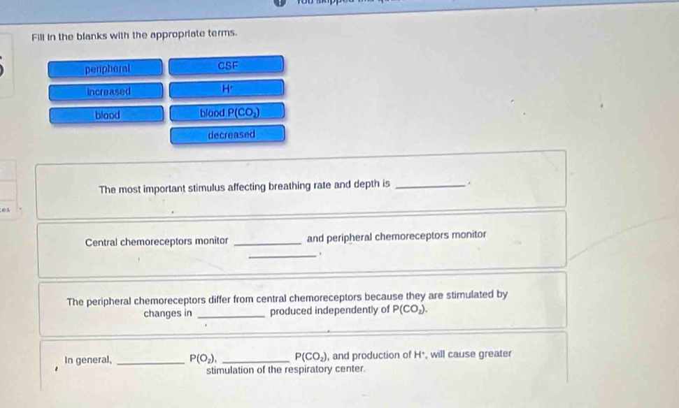 Fill in the blanks with the appropriate terms. 
peripheral CSF 
increased 
H' 
blaod blaod P(CO_2)
decreased 
The most important stimulus affecting breathing rate and depth is _. 
4 5 
Central chemoreceptors monitor _and peripheral chemoreceptors monitor 
_. 
The peripheral chemoreceptors differ from central chemoreceptors because they are stimulated by 
changes in _produced independently of P(CO_2). 
In general, _ P(O_2), _ P(CO_2) , and production of H *, will cause greater 
stimulation of the respiratory center.