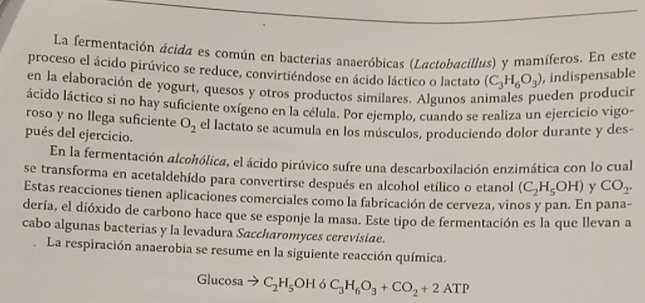 La fermentación ácida es común en bacterias anaeróbicas (Lactobacillus) y mamíferos. En este 
proceso el ácido pirúvico se reduce, convirtiéndose en ácido láctico o lactato (C_3H_6O_3) , indispensable 
en la elaboración de yogurt, quesos y otros productos similares. Algunos animales pueden producir 
ácido láctico si no hay suficiente oxígeno en la célula. Por ejemplo, cuando se realiza un ejercicio vigo- 
roso y no llega suficiente O_2 el lactato se acumula en los músculos, produciendo dolor durante y des- 
pués del ejercicio. 
En la fermentación alcohólica, el ácido pirúvico sufre una descarboxilación enzimática con lo cual 
se transforma en acetaldehído para convertirse después en alcohol etílico o etanol (C_2H_5OH) y CO_2. 
Estas reacciones tienen aplicaciones comerciales como la fabricación de cerveza, vinos y pan. En pana- 
dería, el dióxido de carbono hace que se esponje la masa. Este tipo de fermentación es la que llevan a 
cabo algunas bacterias y la levadura Saccharomyces cerevisiae. 
La respiración anaerobia se resume en la siguiente reacción química. 
Glucosa C_2H_5OH ó C_3H_6O_3+CO_2+2ATP