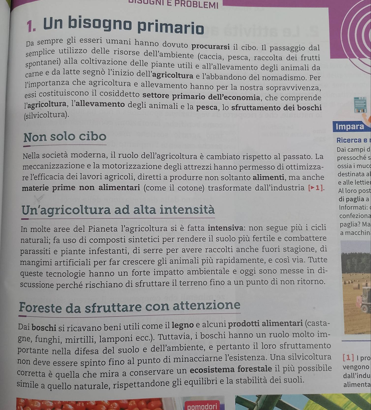 SOGNI É PROBLEMI
1. Un bisogno primario
Da sempre gli esseri umani hanno dovuto procurarsi il cibo. Il passaggio dal
semplice utilizzo delle risorse dell’ambiente (caccia, pesca, raccolta dei frutti
spontanei) alla coltivazione delle piante utili e all’allevamento degli animali da
carne e da latte segnò l’inizio dell’agricoltura e l’abbandono del nomadismo. Per
limportanza che agricoltura e allevamento hanno per la nostra sopravvivenza,
essi costituiscono il cosiddetto settore primario dell’economia, che comprende
l’agricoltura, l’allevamento degli animali e la pesca, lo sfruttamento dei boschi
(silvicoltura).
Impara
Non solo cibo
Ricerca e 
Dai campi d
Nella società moderna, il ruolo dell’agricoltura è cambiato rispetto al passato. La pressoché s
meccanizzazione e la motorizzazione degli attrezzi hanno permesso di ottimizza- ossia i muc
re l’efficacia dei lavori agricoli, diretti a produrre non soltanto alimenti, ma anche destinata al
e alle lettier
materie prime non alimentari (come il cotone) trasformate dall’industria [>1]. Al loro post
di paglia a
Un'agricoltura ad alta intensità
Informati: 
confeziona
In molte aree del Pianeta l’agricoltura si è fatta intensiva: non segue più i cicli a macchin paglia? Ma
naturali; fa uso di composti sintetici per rendere il suolo più fertile e combattere
parassiti e piante infestanti, di serre per avere raccolti anche fuori stagione, di
mangimi artificiali per far crescere gli animali più rapidamente, e così via. Tutte
queste tecnologie hanno un forte impatto ambientale e oggi sono messe in di-
scussione perché rischiano di sfruttare il terreno fino a un punto di non ritorno.
Foreste da sfruttare con attenzione
Dai boschi si ricavano beni utili come il legno e alcuni prodotti alimentari (casta-
gne, funghi, mirtilli, lamponi ecc.). Tuttavia, i boschi hanno un ruolo molto im-
portante nella difesa del suolo e dell’ambiente, e pertanto il loro sfruttamento
non deve essere spinto fino al punto di minacciarne l’esistenza. Una silvicoltura [1]Ipro
corretta è quella che mira a conservare un ecosistema forestale il più possibile vengono
dall’indu
simile a quello naturale, rispettandone gli equilibri e la stabilità dei suoli. alimenta
pomodori