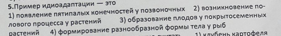 5.Пример идиоадаπтации ー это 
1) появление пятипалых конечностей у позвоночных 2) возникновение по- 
лового πроцесса у растений 3) образование πлодов у покры тосеменньх 
растений 4) φормирование разнообразной φормы τела у рыб 
1) κσνбень κаρτοфеля