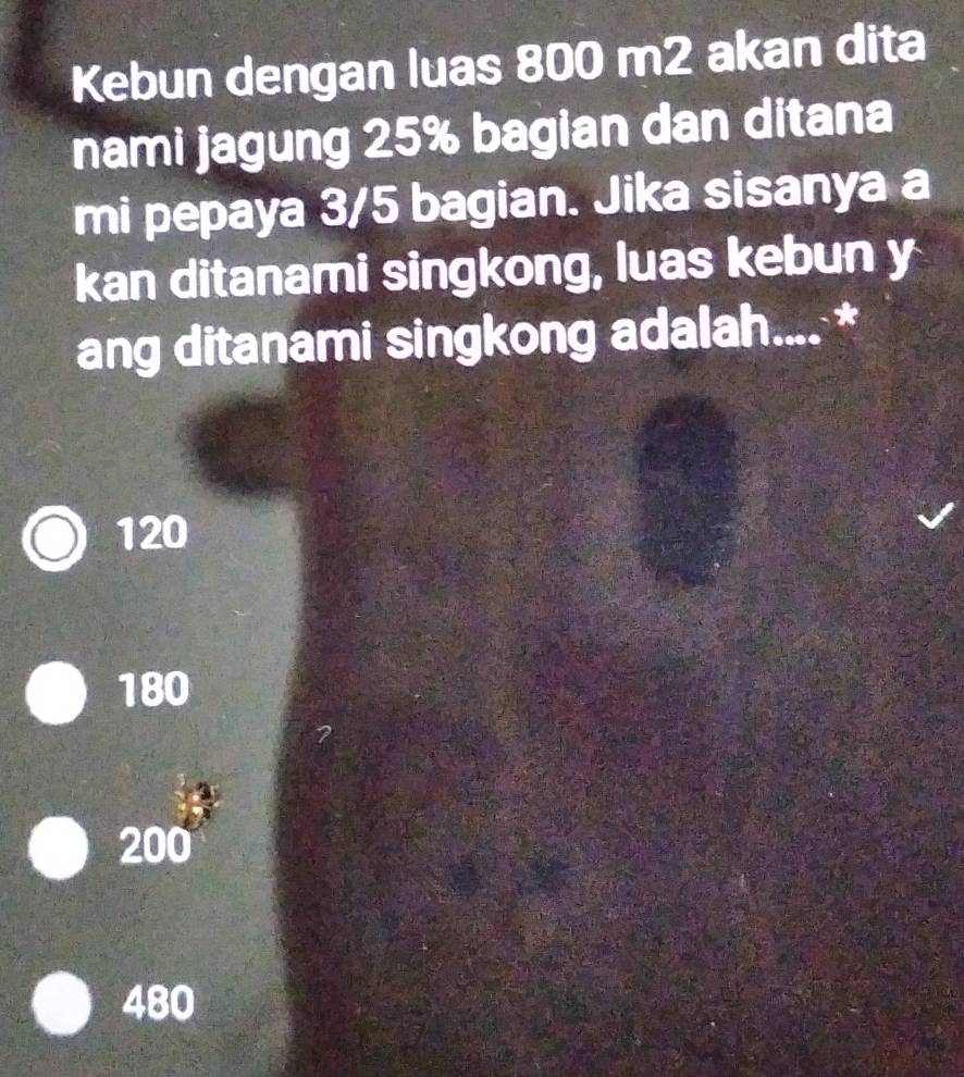 Kebun dengan luas 800 m2 akan dita
nami jagung 25% bagian dan ditana
mi pepaya 3/5 bagian. Jika sisanya a
kan ditanami singkong, luas kebun y
ang ditanami singkong adalah.... *
120
180
200
480