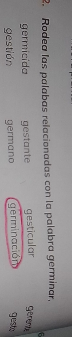 Rodea las palabas relacionadas con la palabra germinar.
6
germicida gestante
gesticular gerente
gestión germano germinación gesto