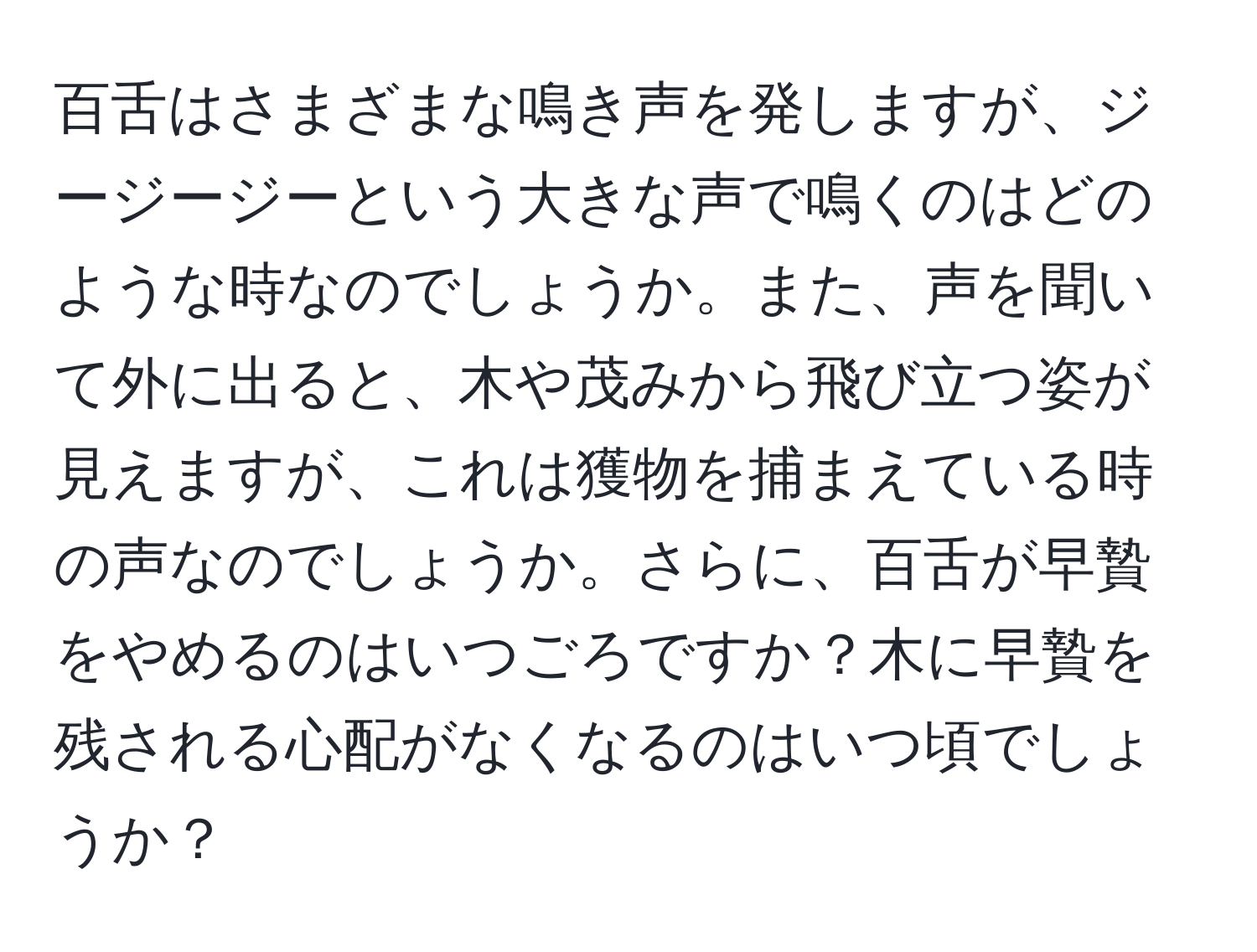 百舌はさまざまな鳴き声を発しますが、ジージージーという大きな声で鳴くのはどのような時なのでしょうか。また、声を聞いて外に出ると、木や茂みから飛び立つ姿が見えますが、これは獲物を捕まえている時の声なのでしょうか。さらに、百舌が早贄をやめるのはいつごろですか？木に早贄を残される心配がなくなるのはいつ頃でしょうか？